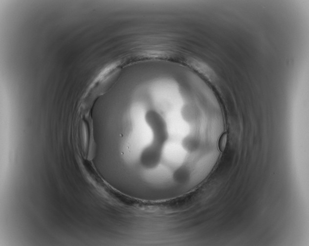 X0000086220482200704121900