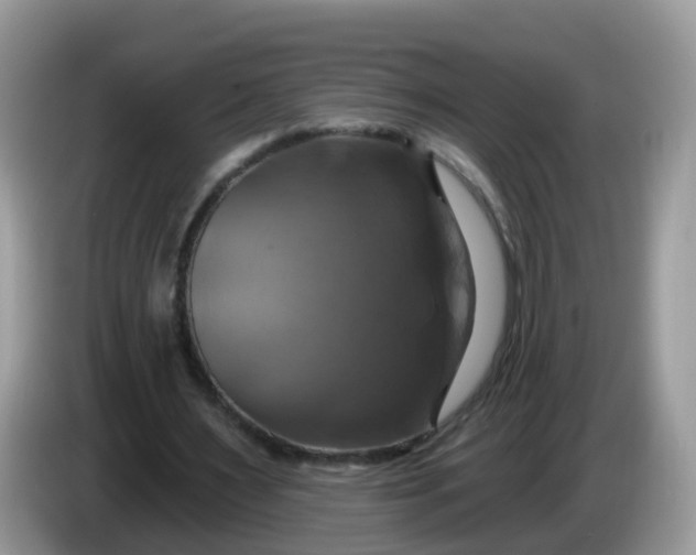 X0000086220483200704121900