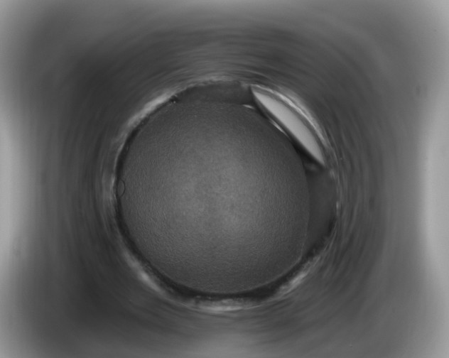 X0000086220485200704121900