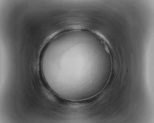 X0000086220486200704121900