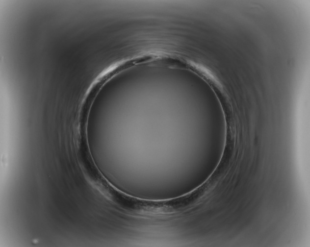 X0000086220488200704121859