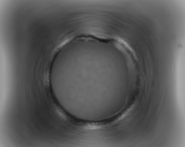 X0000086220489200704121859