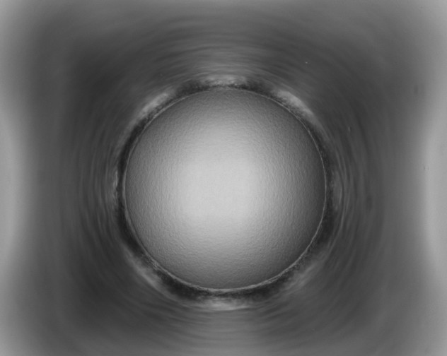 X0000086220490200704121859