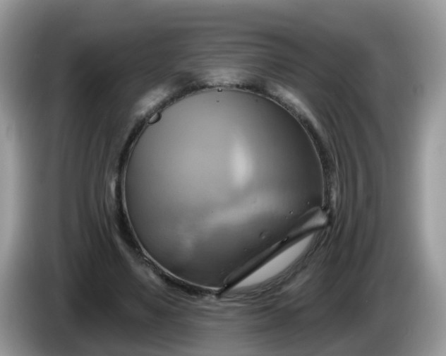 X0000086220491200704121859