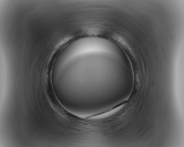 X0000086220492200704121859