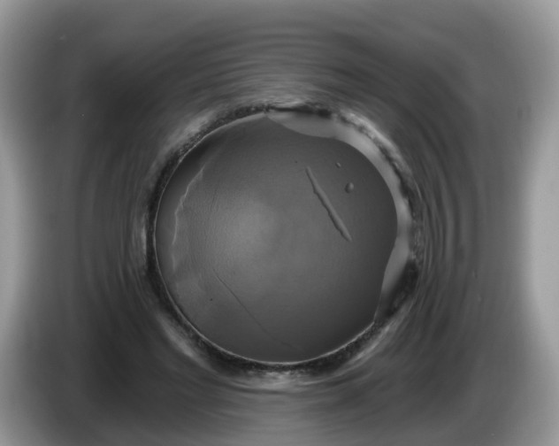 X0000086220493200704121859