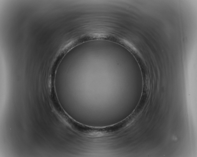 X0000086220494200704121859