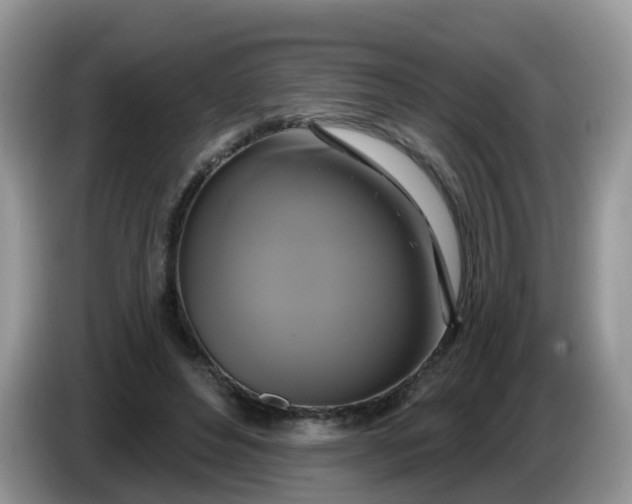 X0000086220496200704121859