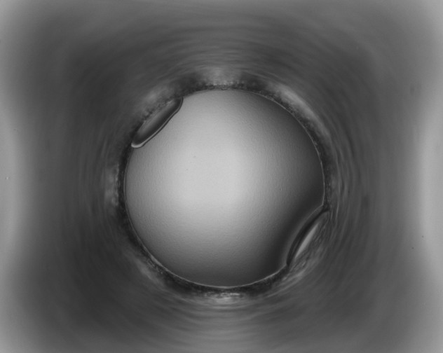 X0000086220497200704121859