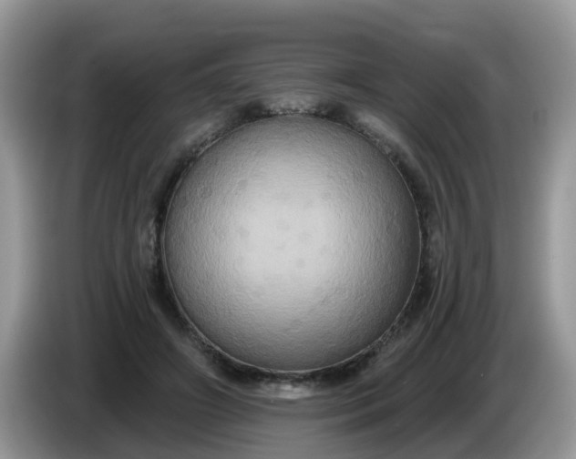 X0000086220498200704121859