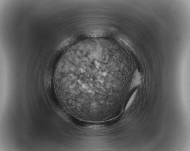 X0000086220499200704121859