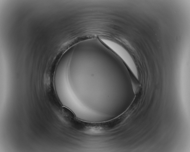 X0000086220500200704121859