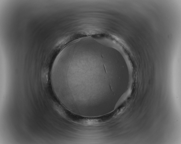 X0000086220501200704121859