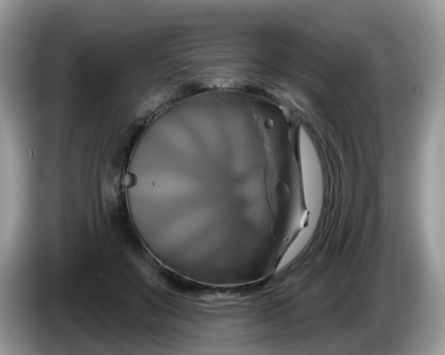 X0000086220503200704121859