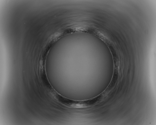 X0000086220506200704121859