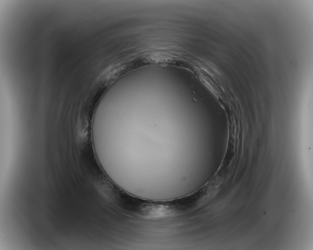 X0000086220507200704121859