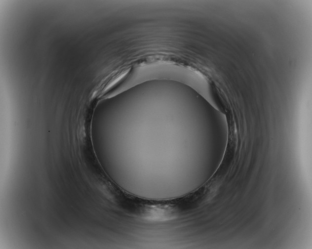 X0000086220508200704121859