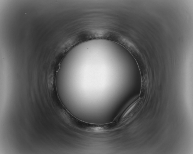 X0000086220509200704121859