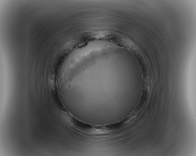 X0000086220510200704121859