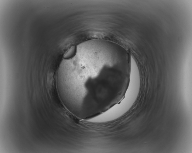 X0000086220511200704121859