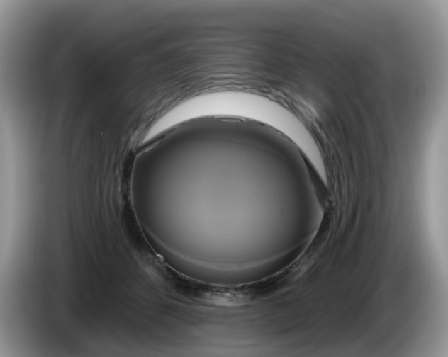 X0000086220512200704121859