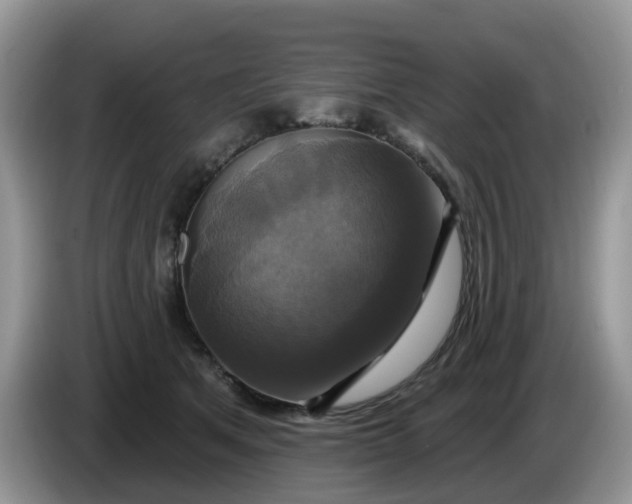 X0000086220513200704121859