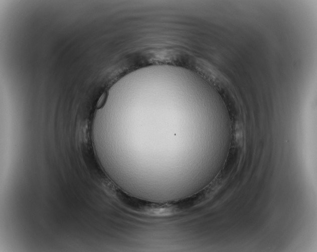 X0000086220514200704121859