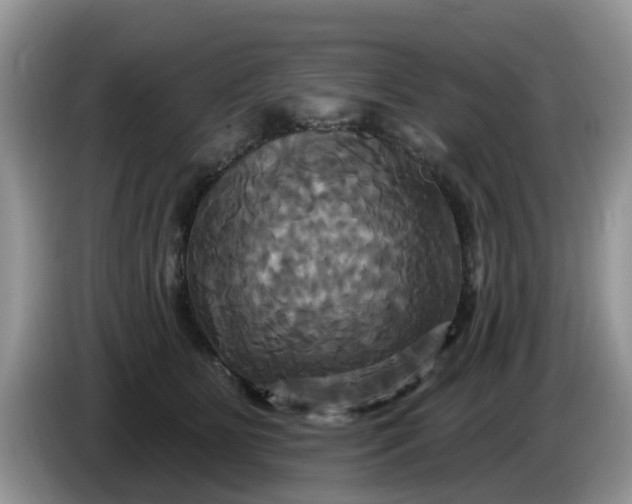 X0000086220515200704121859