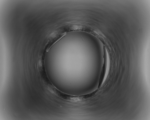 X0000086220516200704121859