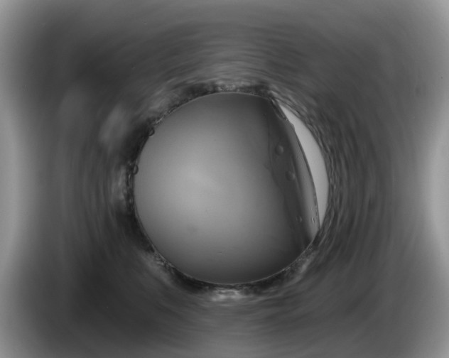 X0000086220519200704121859