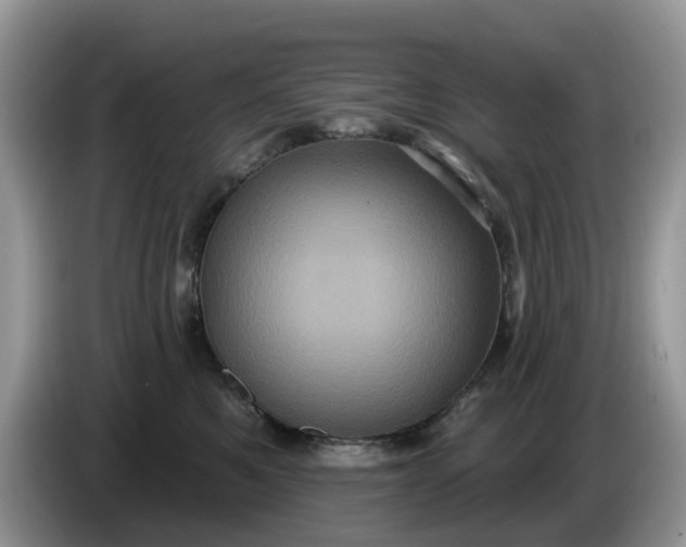 X0000086220521200704121859