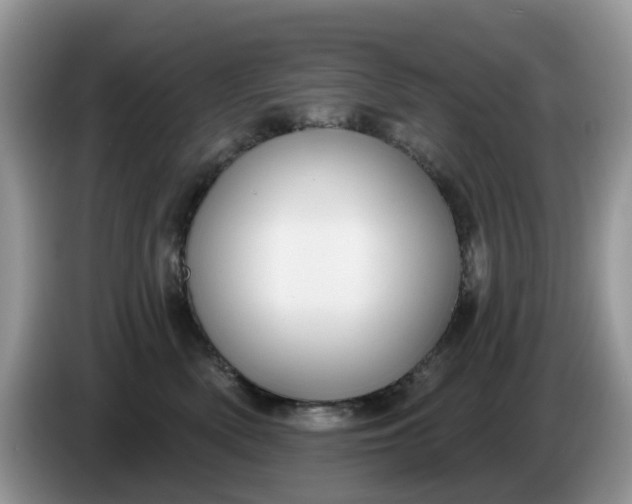 X0000086220522200704121859