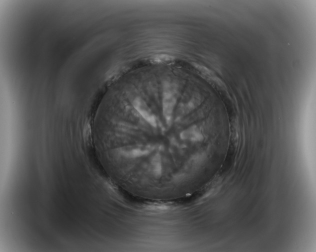 X0000086220523200704121859