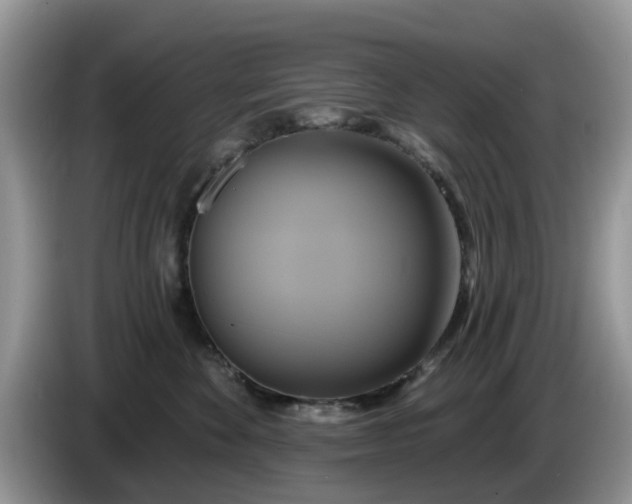 X0000086220524200704121859