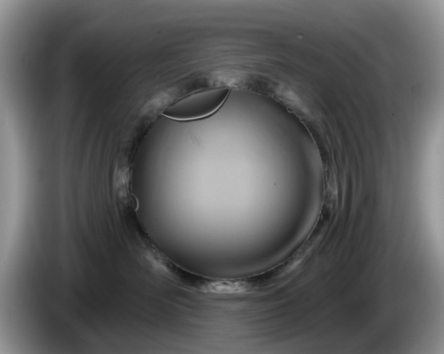 X0000086220526200704121859