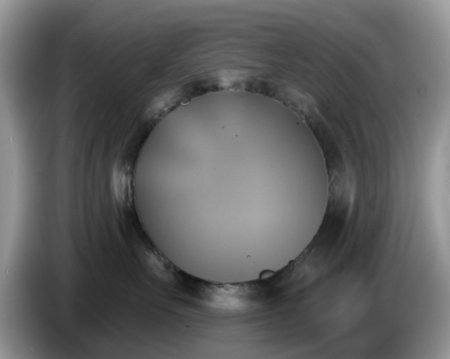 X0000086220527200704121859