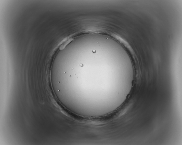 X0000086220529200704121858