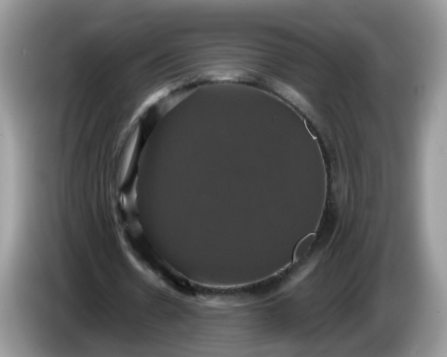 X0000086220530200704121858