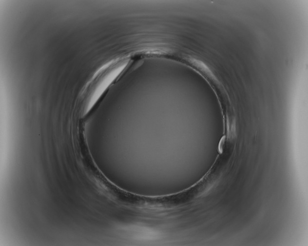 X0000086220531200704121858