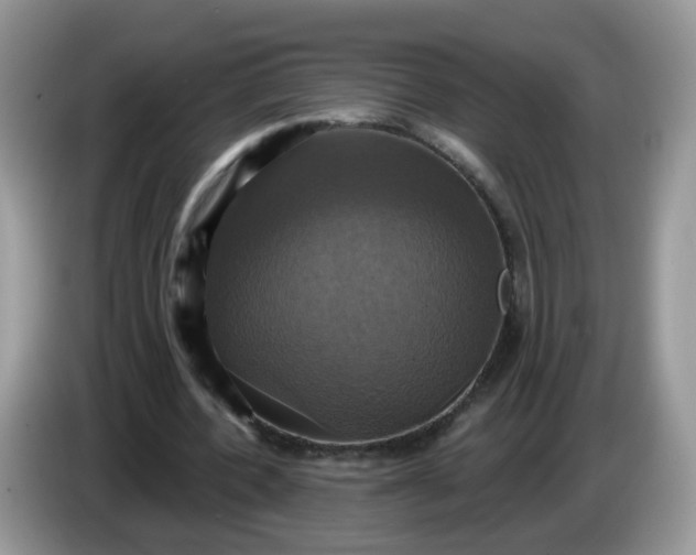 X0000086220532200704121859