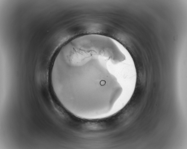 X0000086220534200704121859