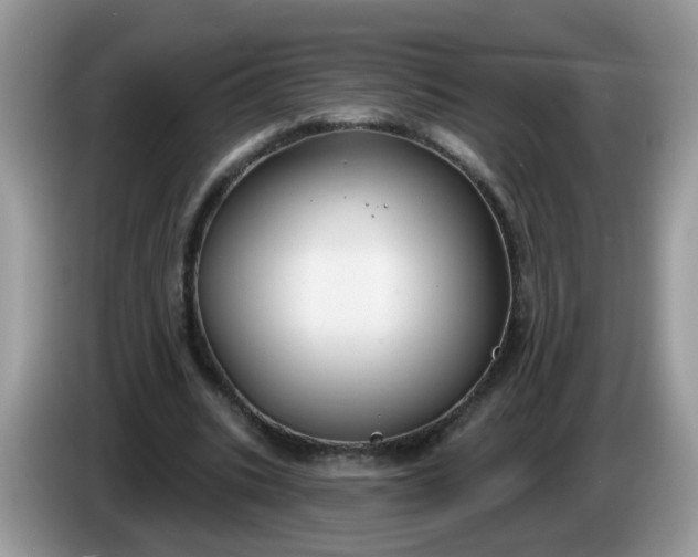 X0000086220535200704121859