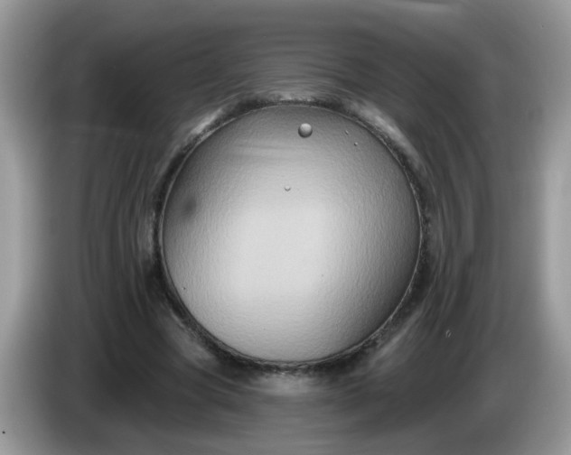 X0000086220537200704121859