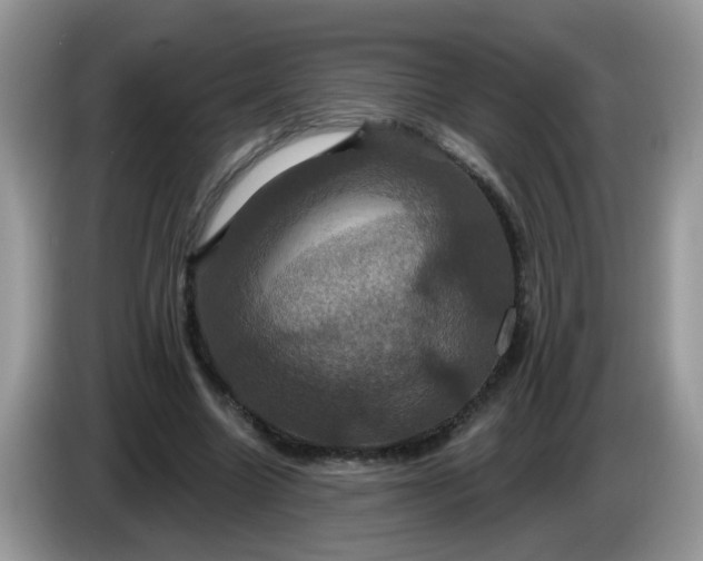 X0000086220538200704121859