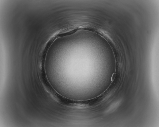 X0000086220539200704121859