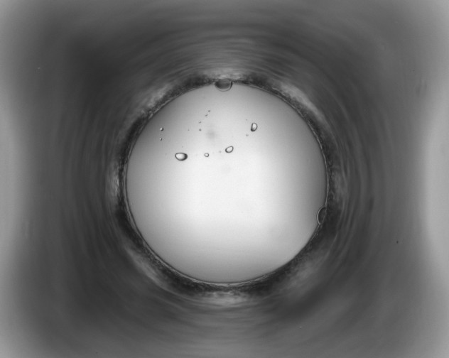 X0000086220541200704121859