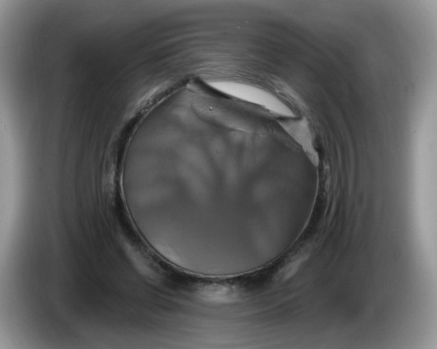 X0000086220542200704121859