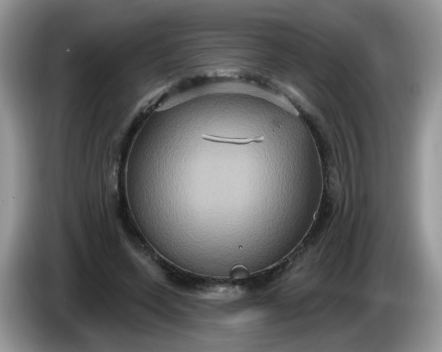 X0000086220543200704121859