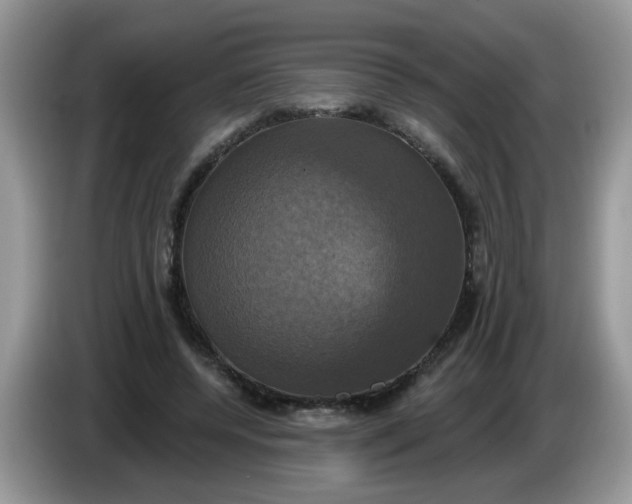 X0000086220544200704121859