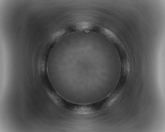 X0000086220546200704121859